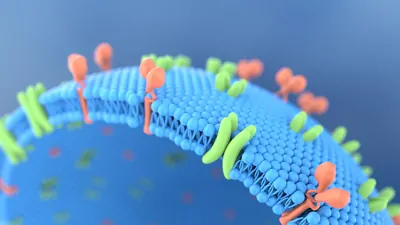 Streamlining Membrane Protein Research with Mass Photometry